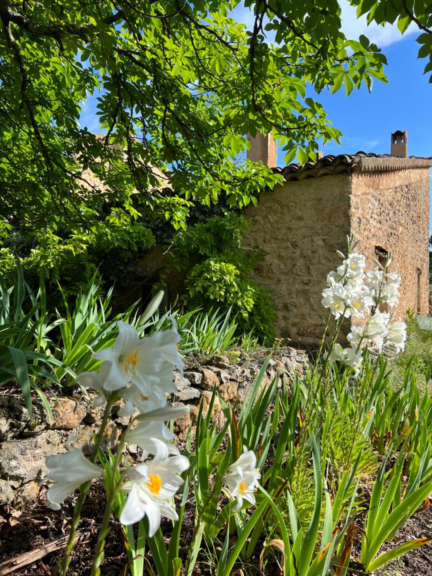 Charmant Appartement Independant Au Sein D'Un Mas Provencal Aups Ngoại thất bức ảnh